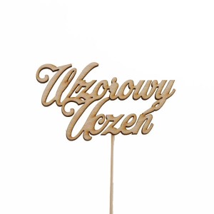 napis WZOROWY UCZEŃ pik 