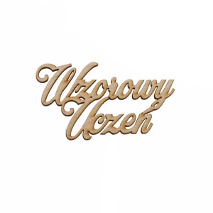 napis WZOROWY UCZEŃ 