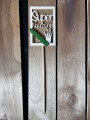IMG_5175.jpg