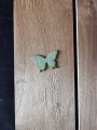 IMG_5538.jpg