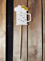 IMG_5514.jpg