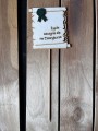 IMG_5166.jpg