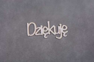 napis DZIĘKUJĘ 