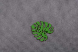 MONSTERA
