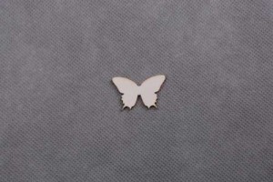 MOTYL 