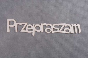 napis PRZEPRASZAM 