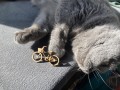 IMG_5750.jpeg