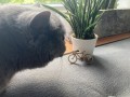IMG_5202.jpeg