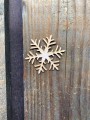 IMG_0645.jpg