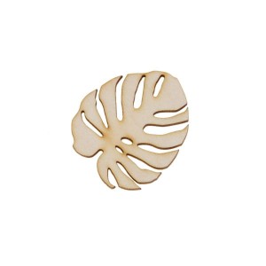 MONSTERA